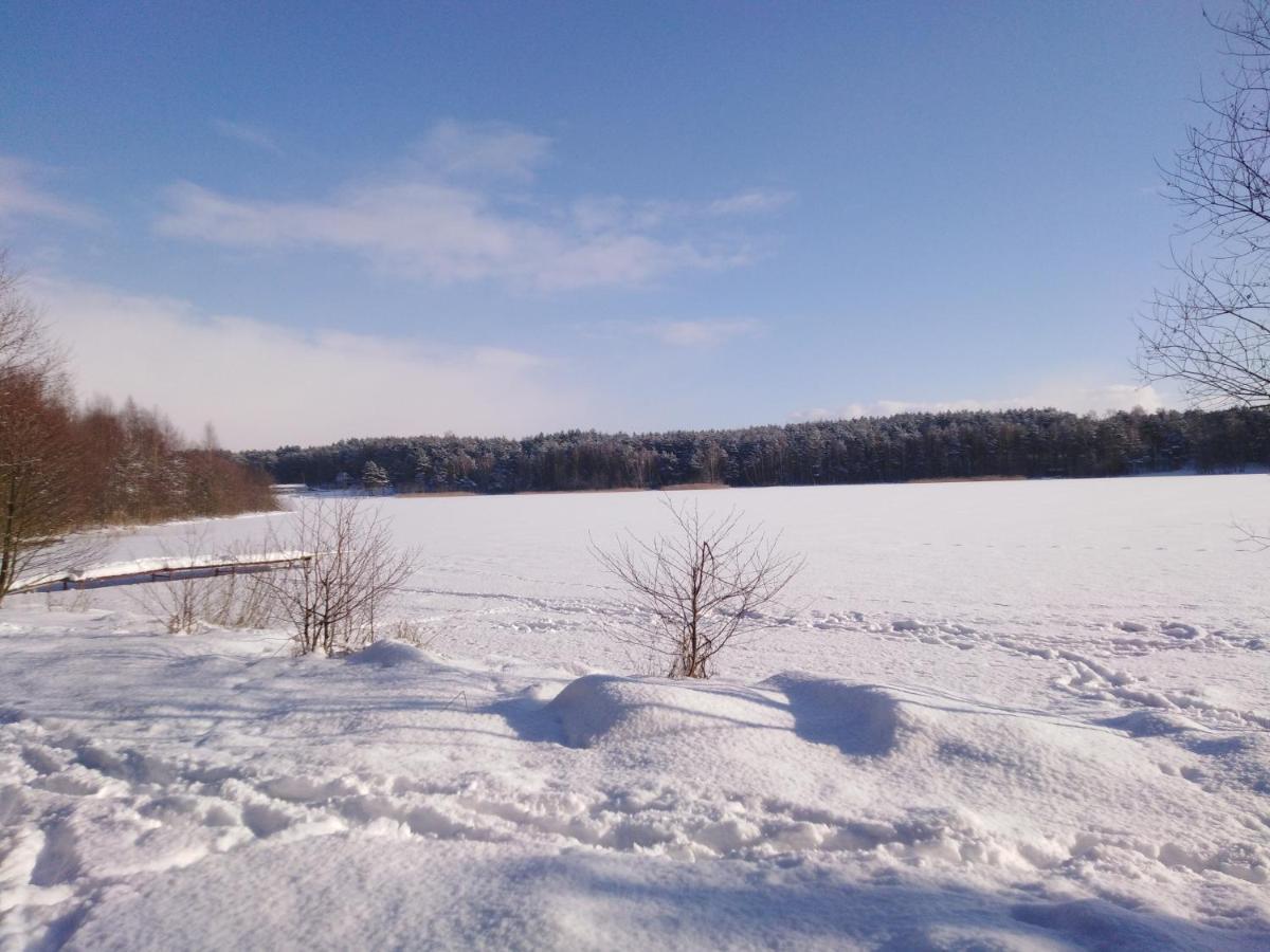 Grygielówka - Dom pod lasem Kamień Exterior foto